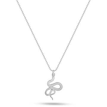 Collier Éclat d'Argent