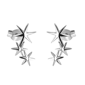 Éclat d'Argent Earrings